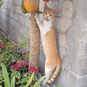 Meet your Posher, Teddy